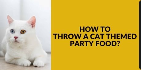 Cat Themed Party Food